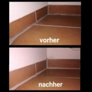 Silikon Erneuerung Rs Reich 05